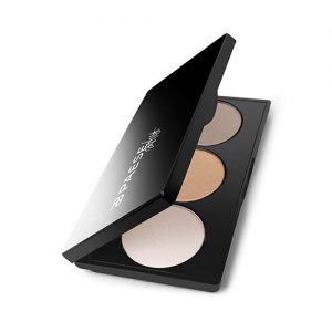 CONTOURING PALETE ARTIST 4
